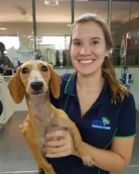 Dr Jess  Bowen University Avenue Veterinary Hospital Durack