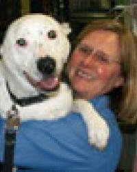 Dr Jill McAlister Hornsby Veterinary Hospital Hornsby