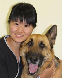 Dr Jing  Lu Kellyville Ridge Veterinary Hospital Kellyville Ridge