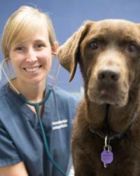 Dr Jo Woodger Western Suburbs Veterinary Clinic Kirwan