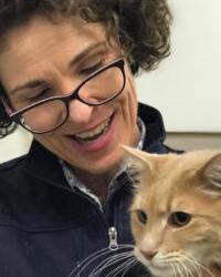 Dr Joanne Cheney Blayney Veterinary Hospital Blayney