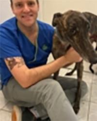 Dr Joel  Cuthbert The Ark Animal Hospital Yarrawonga