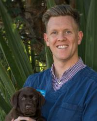 Dr John Morgan Gordon Veterinary Hospital Pymble