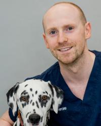 Dr Jonathan Crawford Lort Smith Animal Hospital North Melbourne North Melbourne
