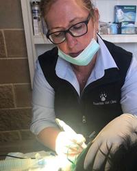 Dr Julianne Grant Bowenfels Veterinary Clinic Bowenfels