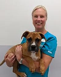 Dr Justine L Norwood Somersby Animal Hospital Somersby