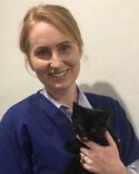 Dr Kate Drew Hurlstone Park Veterinary Hospital Dulwich Hill