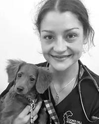 Dr Katherine  Allen Cooks Hill Veterinary Clinic Cooks Hill