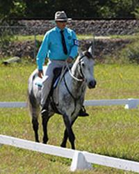 Dr Keith C Phillips Coast & Valleys Veterinary Hospital Alison