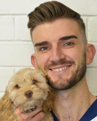 Dr Kieran Russell Vets @ North Rocks North Rocks