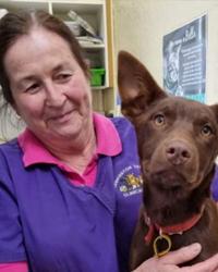 Dr Kim Barrett Launceston Veterinary Clinic South Launceston