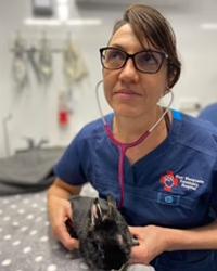 Dr Kim Maitland Port Macquarie Veterinary Hospital Port Macquarie