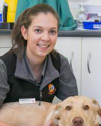 Dr Kirra  Ikonomou Fulham Gardens Animal Hospital Fulham Gardens