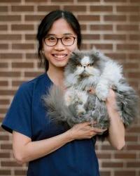 Dr Kitty  Cheung Bayside Animal Hospital Wolli Creek Wolli Creek