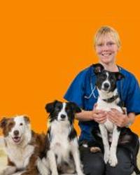 Dr Kriszty  Kelly Marmion Vet Centre Marmion