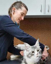 Dr Kylie  Wray Golden Grove Emergency Veterinary Hospital Wynn Vale