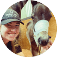Dr Lacey  Renner HorsemedSA Morphettville Equine Clinic Glengowrie