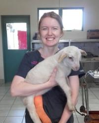 Dr Laura  Dougan Manuka Veterinary Hospital Griffith