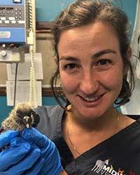 Dr Lexi Burgemeestre Midwest Vet Centre Geraldton