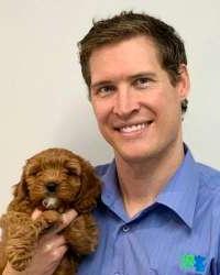 Dr Liam Brown Figtree Veterinary Clinic Lane Cove West