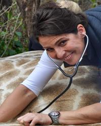 Dr Lidwien  Verdegaal Roseworthy Veterinary Hospital Roseworthy