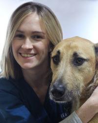 Dr Lucy  Young Kensington Vet Clinic & Hospital Kensington