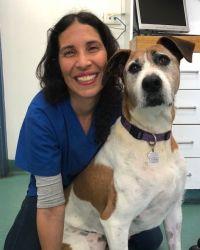 Dr Maayan Tourel Struggletown Veterinary Hospital Randwick