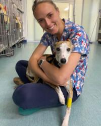 Dr Maddi Sparkes Blayney Veterinary Hospital Blayney