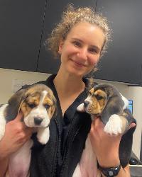 Dr Madeleine  Heyn North Coast Veterinary Services Brunswick Heads