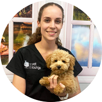 Dr Madeline Ricca The Vet Lounge Ormeau Ormeau