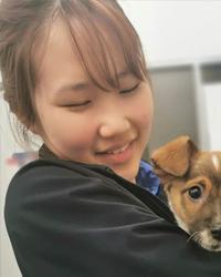 Dr Lani Liang Ryde Veterinary Clinic Ryde