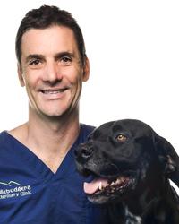 Dr Mark Shortreed Tallebudgera Veterinary Clinic Tallebudgera