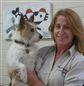 Dr Mary Ann Harvey Blackwood Veterinary Surgery Blackwood