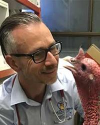 Dr Matt  Gosbell Melbourne Bird Veterinary Clinic Scoresby