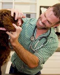 Dr Maxwell Hall Fremantle Animal Hospital Fremantle
