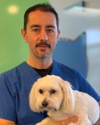 Dr Maziyar Mahouti The Pet Practice St. James