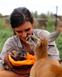 Dr Meg Rodgers Melville Animal Hospital Melville