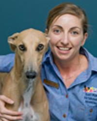 Dr Michaella Griffin East Port Veterinary Hospital Port Macquarie