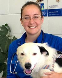 Dr Mika  Bridges Darling Downs Vets - Oakey Vet Clinic Oakey
