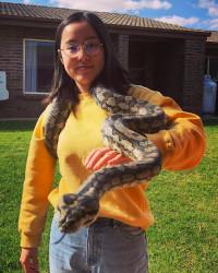 Dr Molly  Oshiro Findon Veterinary Surgery Findon