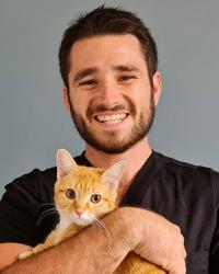 Dr Nate Maisel Gatton Vet Surgery Gatton