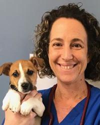 Dr Nathalie  Jugovic Pascoe Vale Veterinary Hospital Pascoe Vale