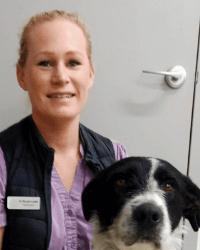 Dr Nicole  Leslie Foothills Animal Hospital Armadale