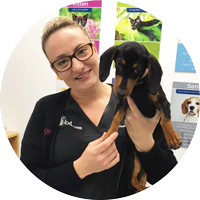 Dr Nicole  McGuinness The Vet Lounge Currumbin Currumbin Waters