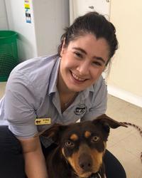 Dr Olivia Thiris Yarrawonga Veterinary Clinic Yarrawonga