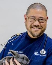 Dr Patrick  Cheah Lort Smith Animal Hospital North Melbourne North Melbourne