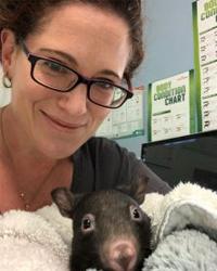 Dr Rebekah  Day Alpine Animal Doctors Porepunkah