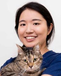 Dr Rie Sato Parramatta Veterinary Hospital North Parramatta