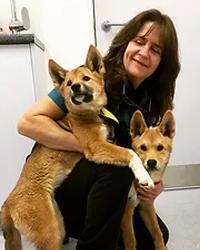 Dr Robin G Crisman Somersby Animal Hospital Somersby