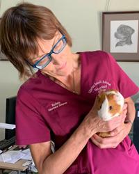 Dr Robyn Edelston Marius Small Animal Veterinary Clinic Tamworth